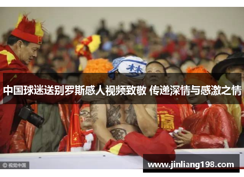 中国球迷送别罗斯感人视频致敬 传递深情与感激之情