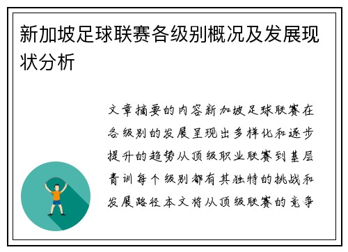 新加坡足球联赛各级别概况及发展现状分析